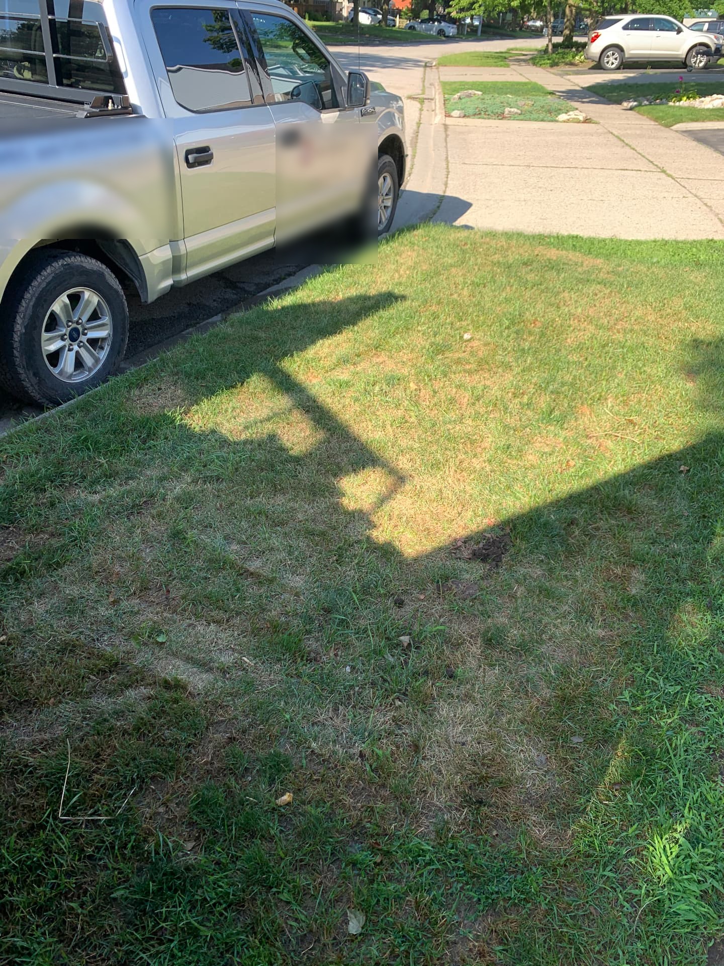 Yard & deck debris — after